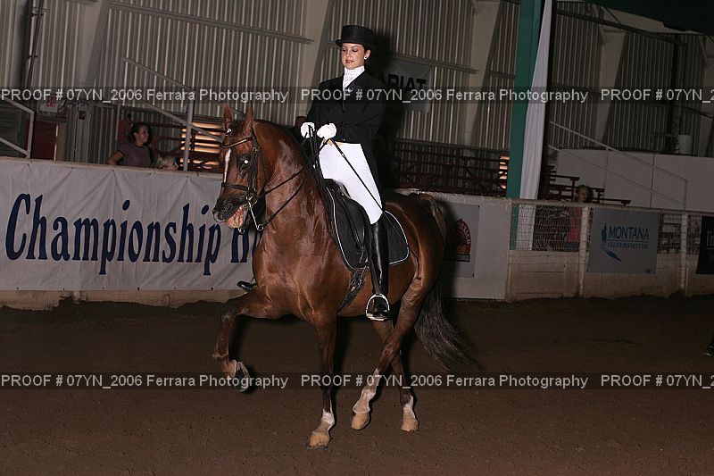 Proof 07YN_2006