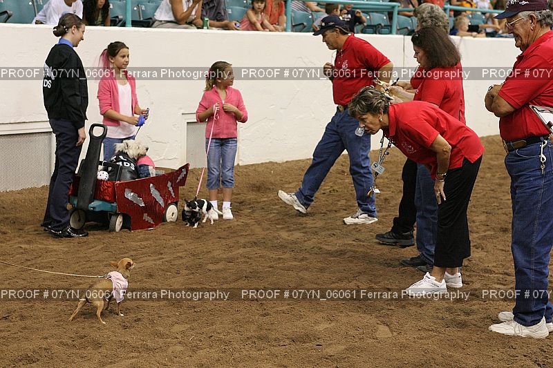 Proof 07YN_06061