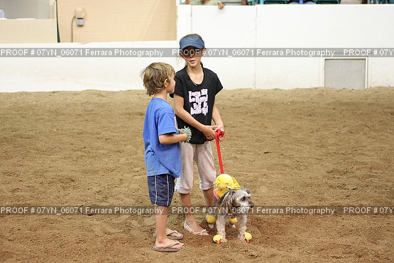 Proof 07YN_06071