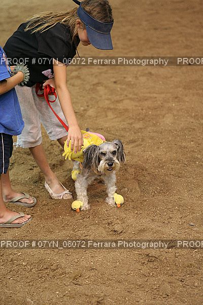 Proof 07YN_06072