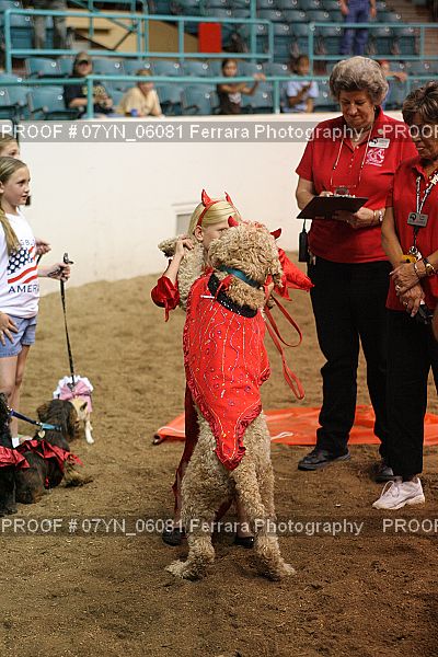 Proof 07YN_06081