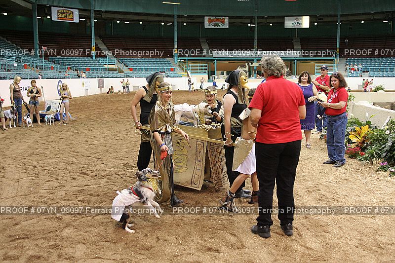 Proof 07YN_06097