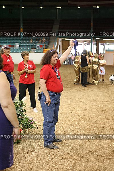 Proof 07YN_06099