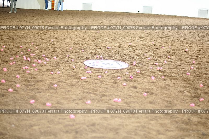 Proof 07YN_09078
