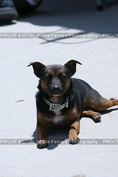 Proof 07YN_09094