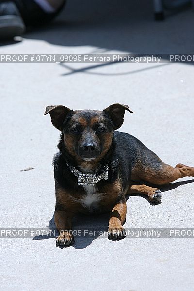 Proof 07YN_09095