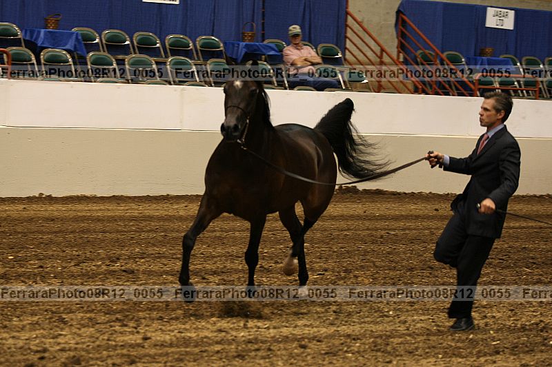 Proof 08r12_0055