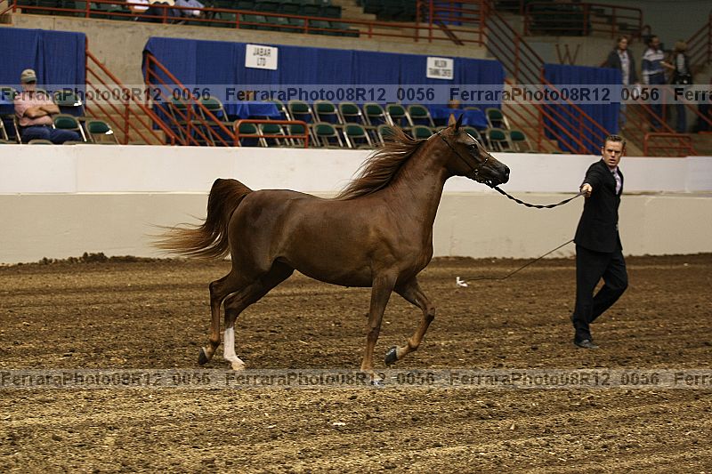 Proof 08r12_0056