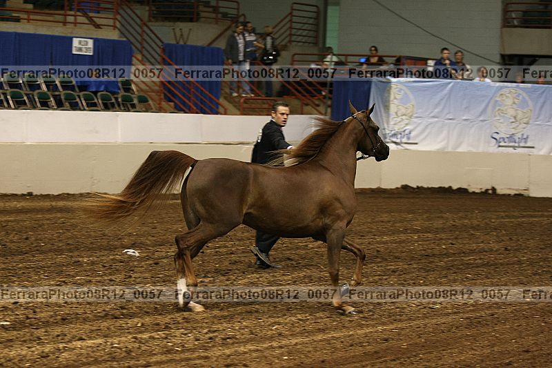Proof 08r12_0057
