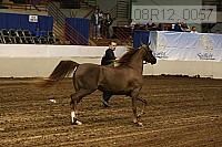 08r12_0057 proof
