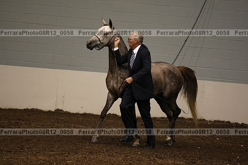 Proof 08r12_0058