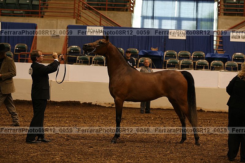 Proof 08r12_0059