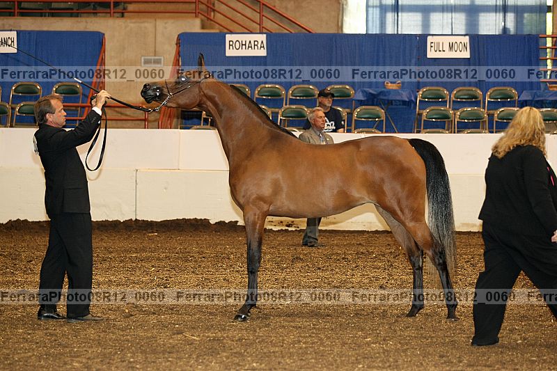 Proof 08r12_0060