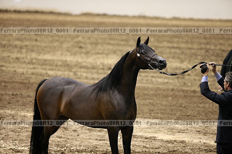 Proof 08r12_0061