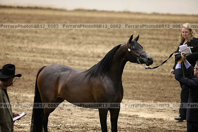 Proof 08r12_0062