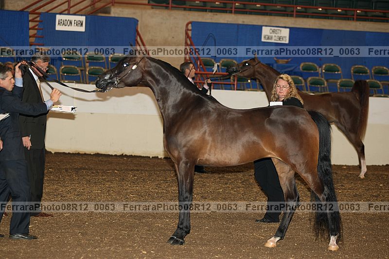 Proof 08r12_0063