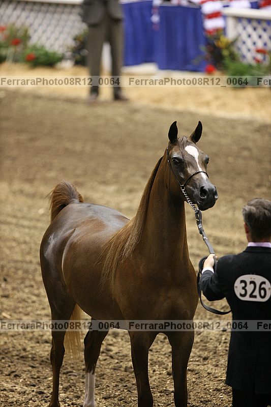 Proof 08r12_0064
