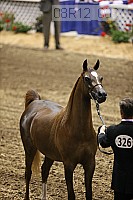 08r12_0064 proof