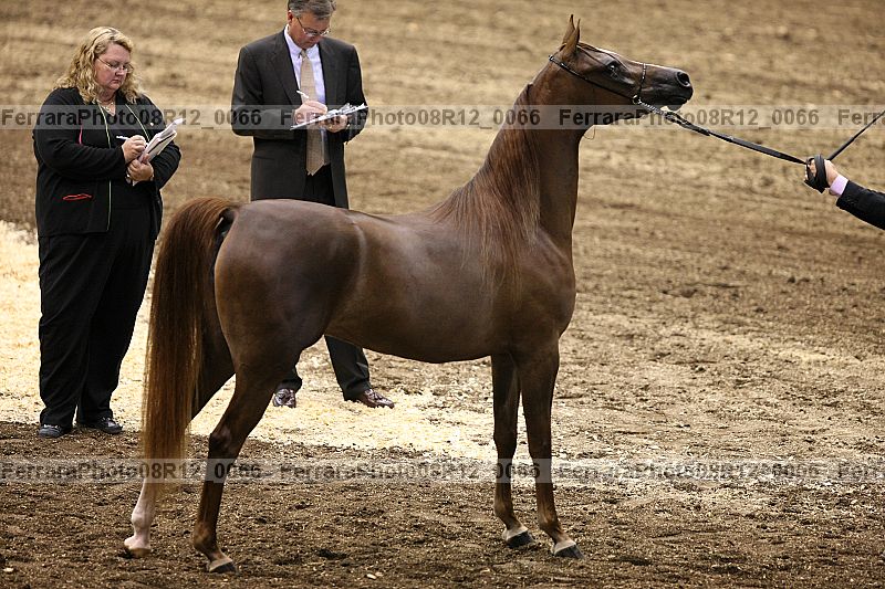 Proof 08r12_0066