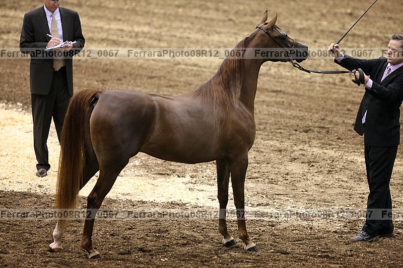 Proof 08r12_0067