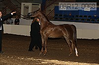08r12_0068 proof