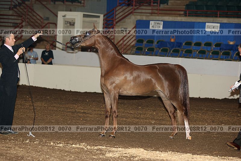 Proof 08r12_0070