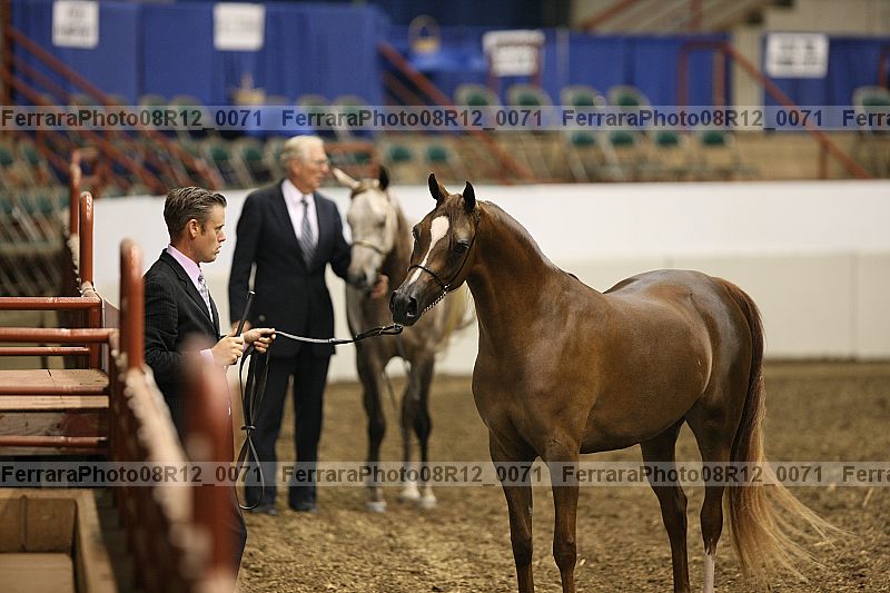 Proof 08r12_0071