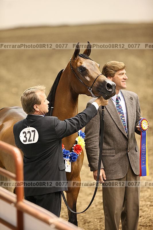 Proof 08r12_0077