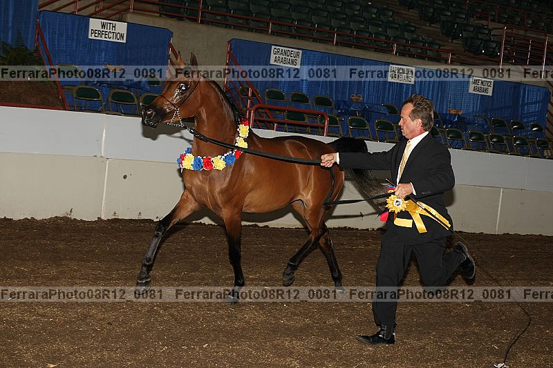 Proof 08r12_0081