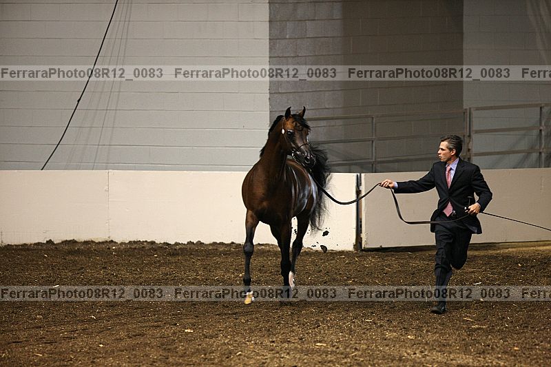 Proof 08r12_0083