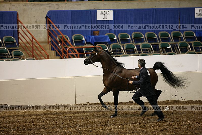 Proof 08r12_0084