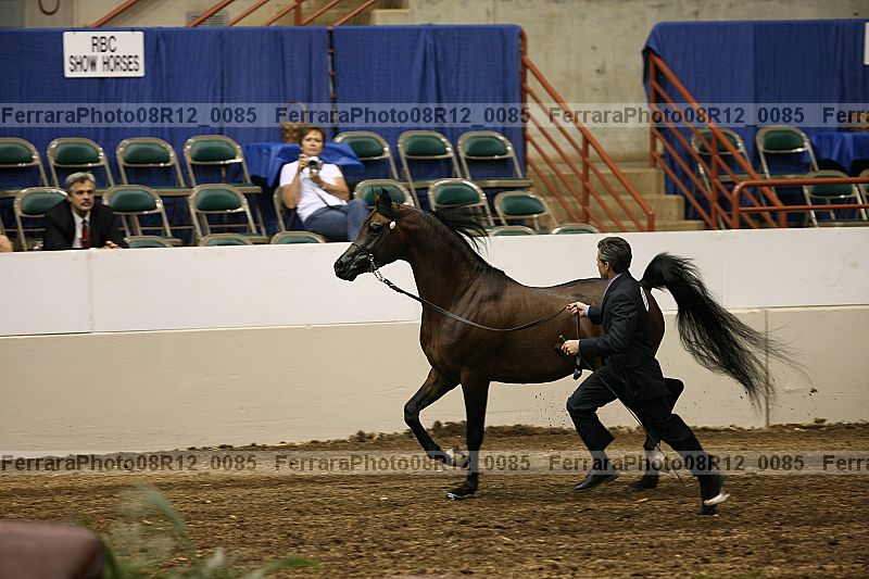 Proof 08r12_0085