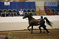 08r12_0085 proof