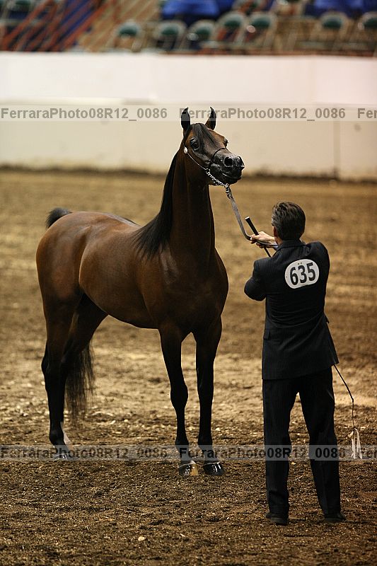 Proof 08r12_0086