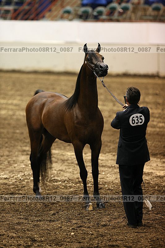 Proof 08r12_0087