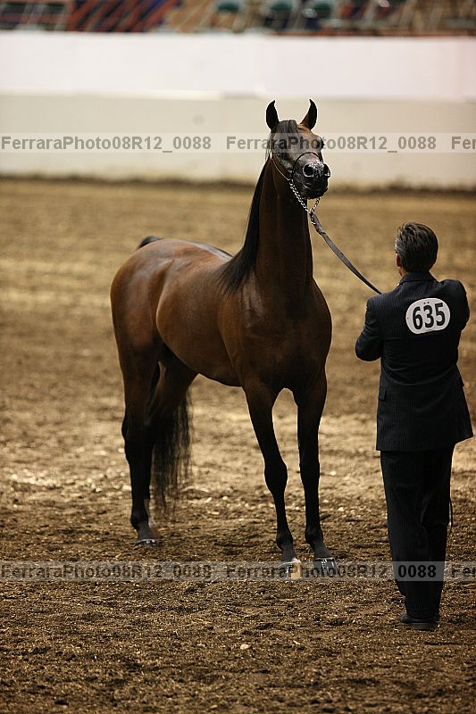 Proof 08r12_0088