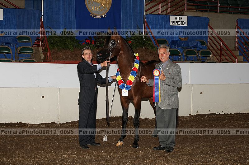 Proof 08r12_0095