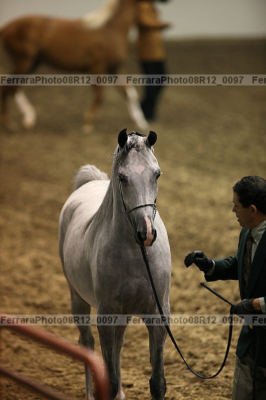 Proof 08r12_0097