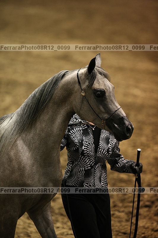 Proof 08r12_0099