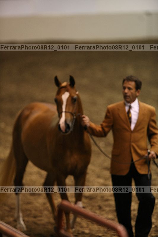 Proof 08r12_0101