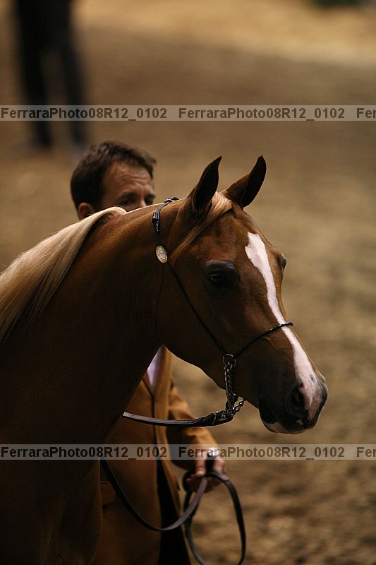 Proof 08r12_0102