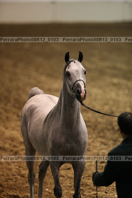 Proof 08r12_0103