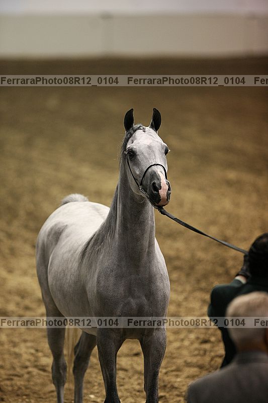 Proof 08r12_0104