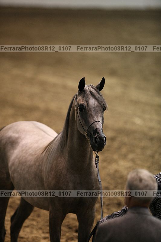 Proof 08r12_0107