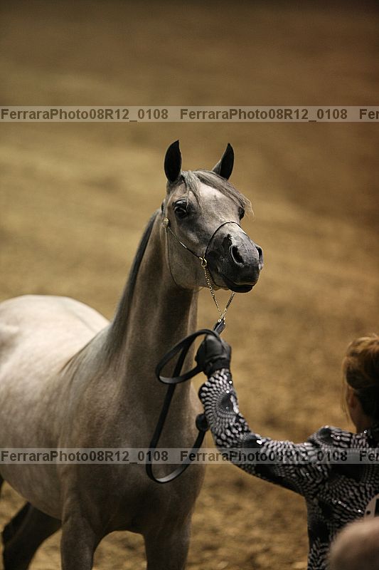 Proof 08r12_0108