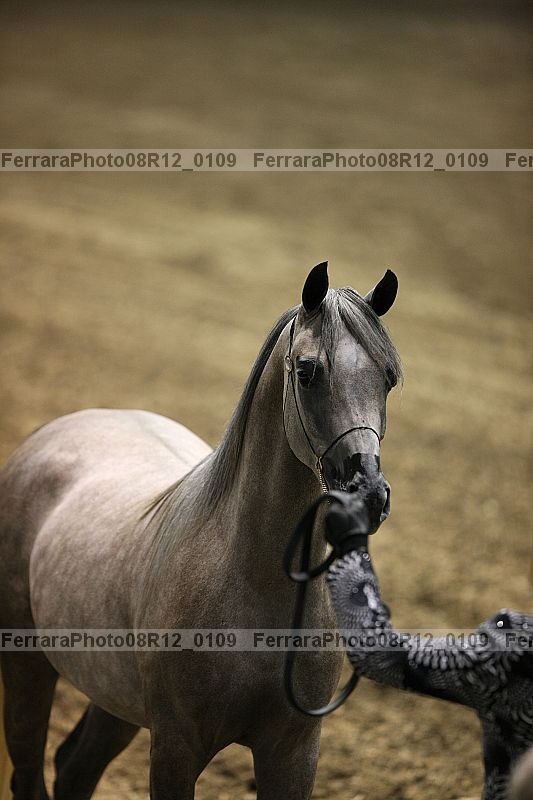 Proof 08r12_0109
