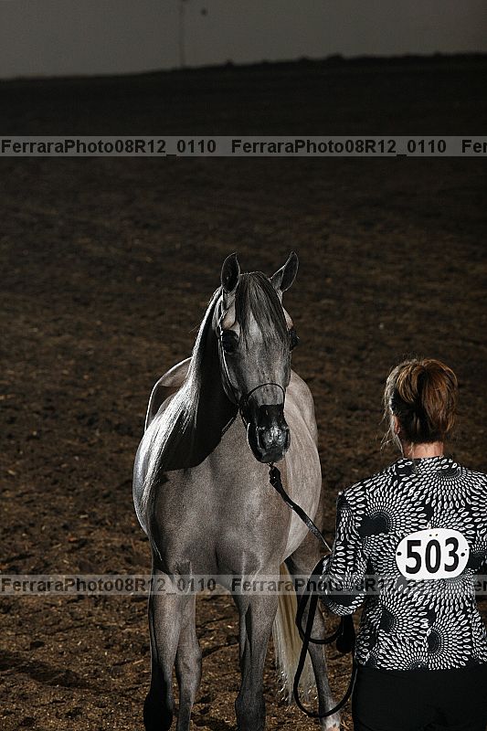 Proof 08r12_0110