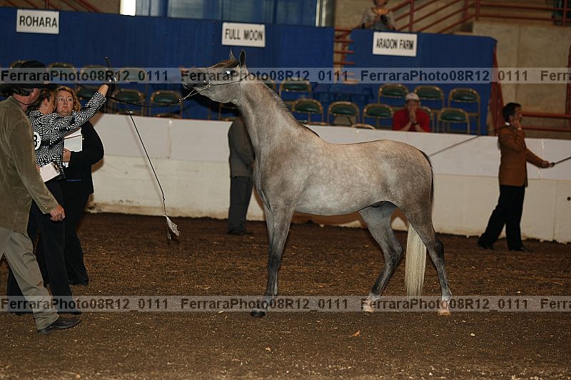 Proof 08r12_0111