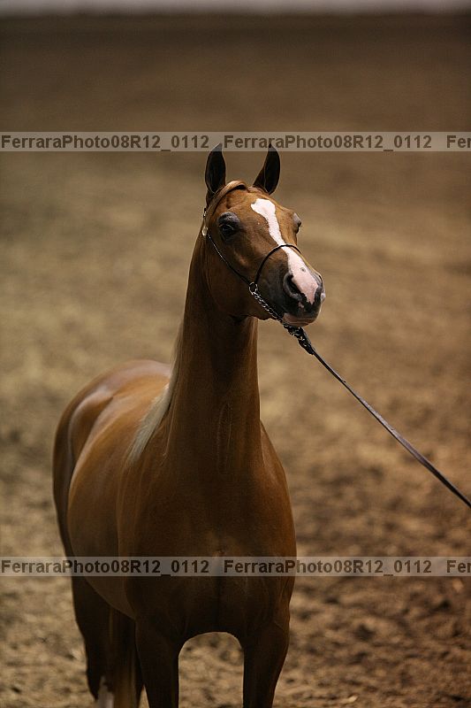 Proof 08r12_0112
