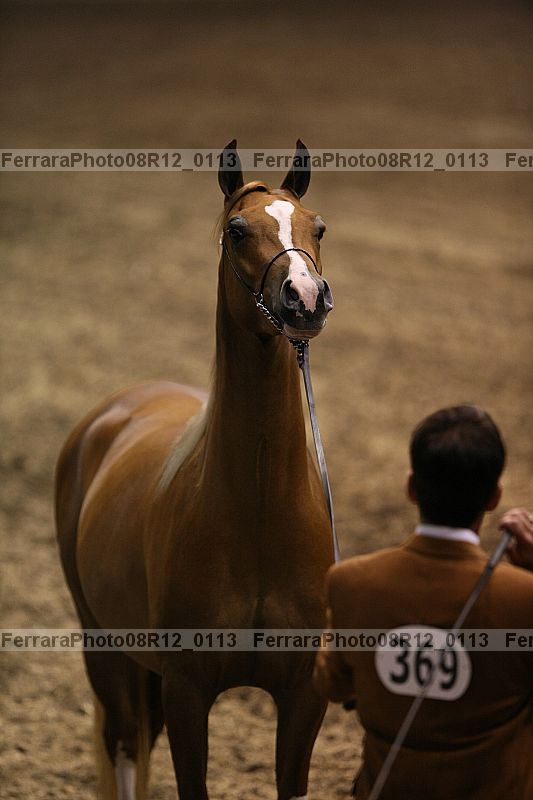 Proof 08r12_0113